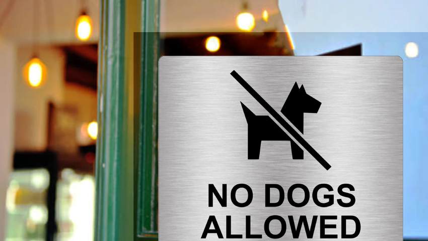 Dogs and Salesmen Not Allowed